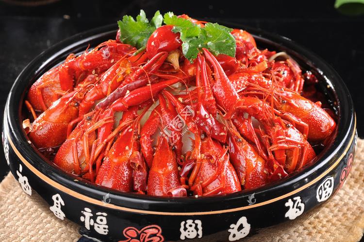 餐饮品牌新领袖，引领潮流，铸就传奇