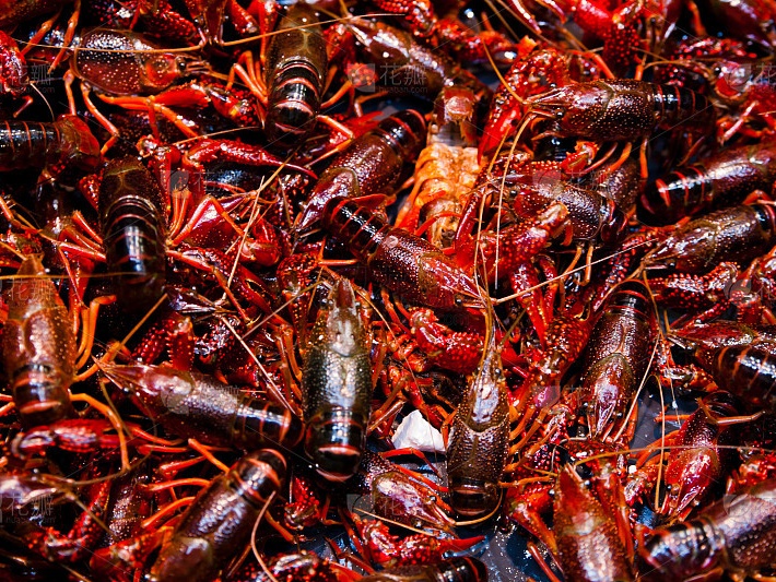 智研咨询发布：小龙虾加工行业报告（附市场发展现状及趋势预测）