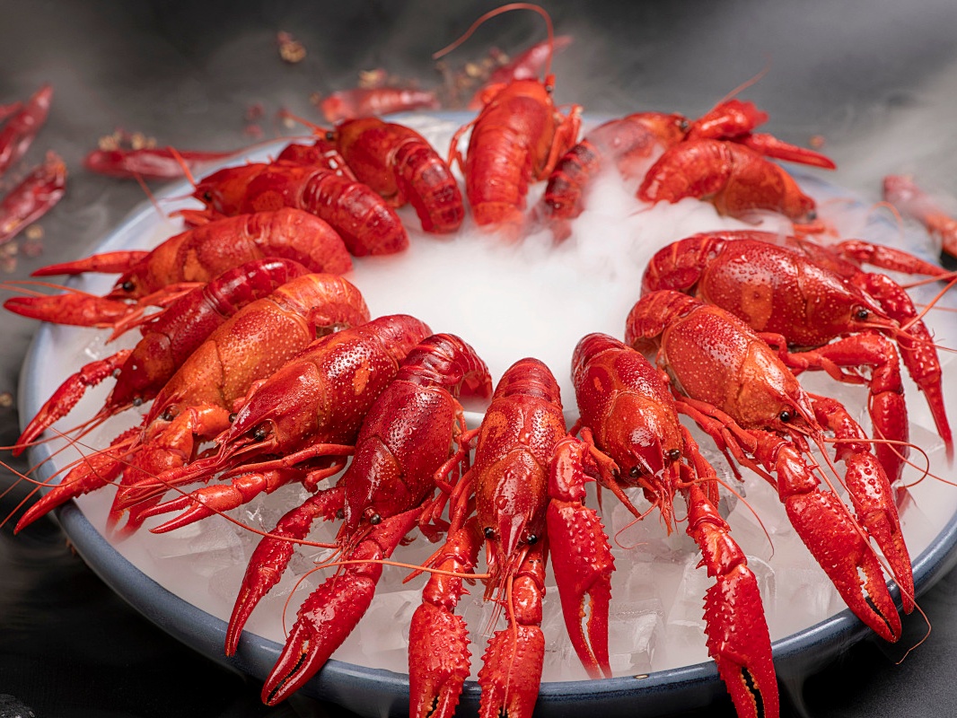 小龙虾“身价”暴跌？这群人却来到虾塘边“算账”，还请来了百万视频博主