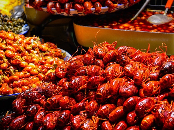 今天，“养龙虾”引爆涨停潮！腾讯、火山引擎上新！这些大厂、上市公司都在抢着“养龙虾”