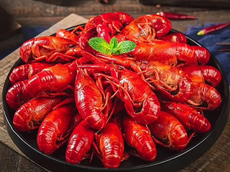 从田间抢跑至餐桌 江西小龙虾“抢鲜”上市