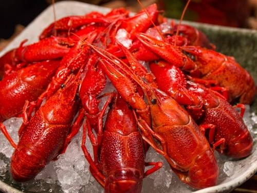 36氪首发｜“龙虾出行”完成近亿元天使轮融资：全球首发AI出行助理